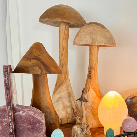 Hand-Carved Timber Mushroom Set (3 Pieces)